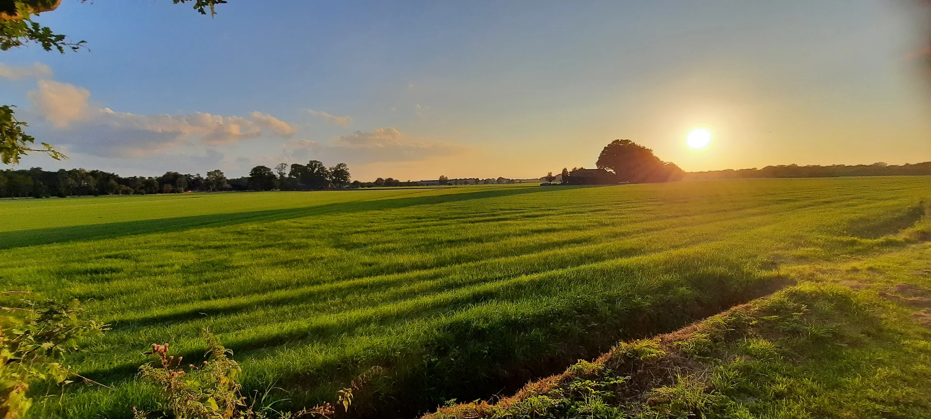 Avondlicht over groene velden