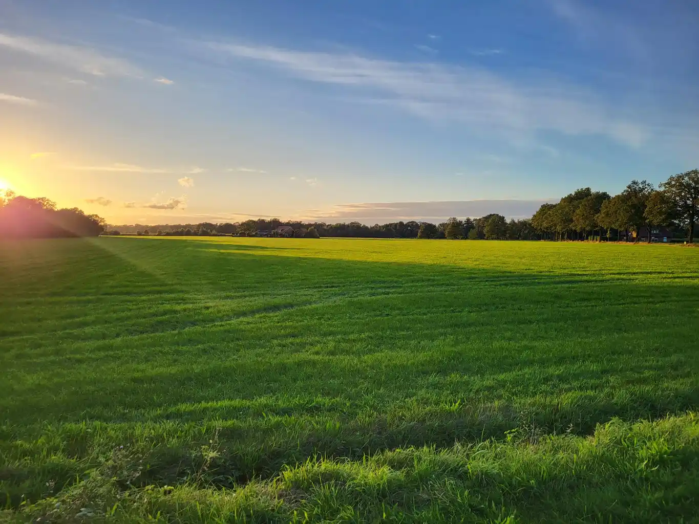 Zonsondergang boven een Drents weiland