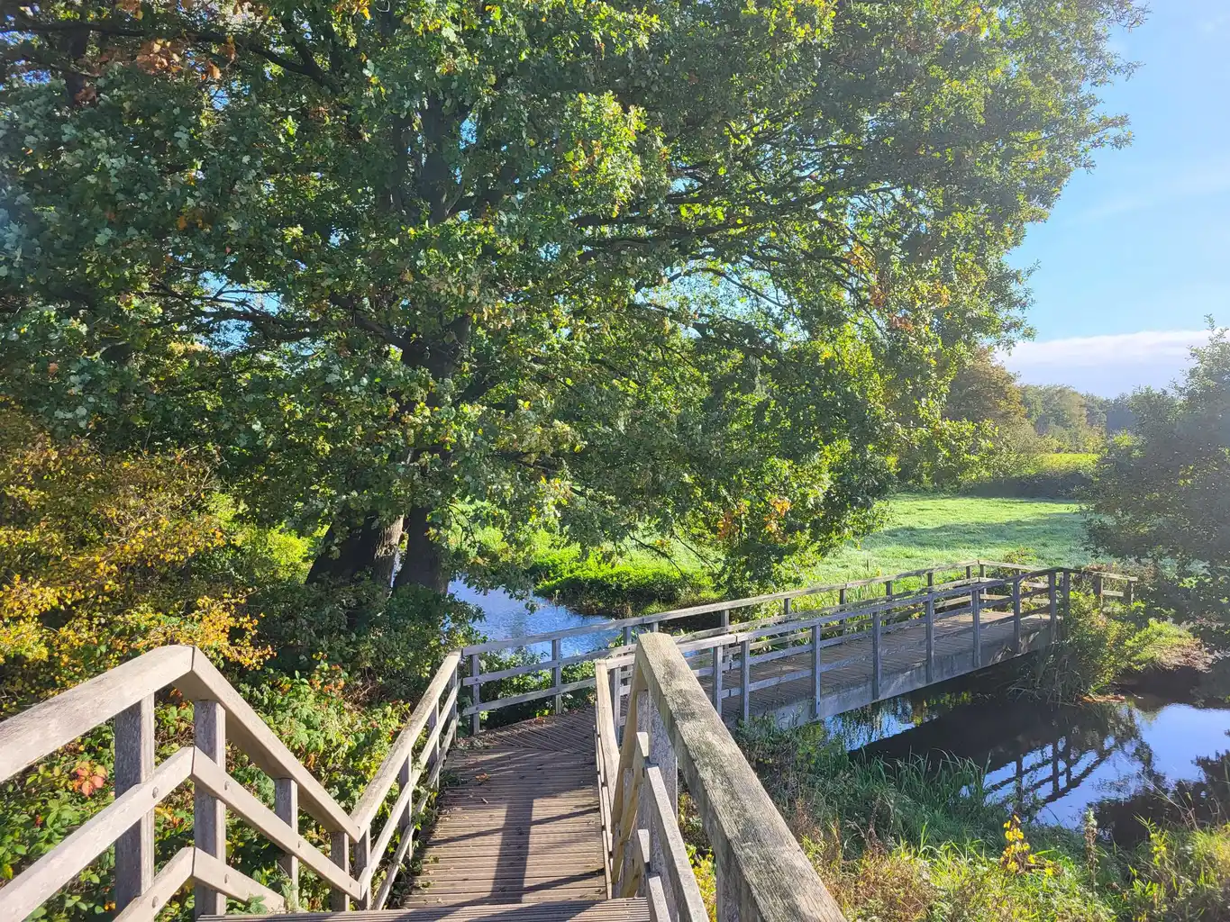 Houten brug over een beek in Drenthe